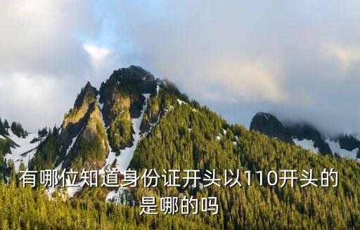 有哪位知道身份證開頭以110開頭的是哪的嗎