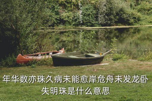 龍臥，龍臥海面上十二生肖指的是那一個(gè)