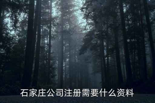 石家莊公司注冊需要什么資料