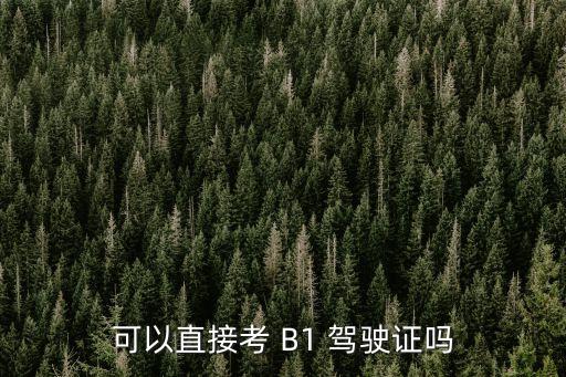可以直接考 B1 駕駛證嗎