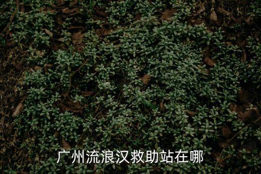 廣州市救助管理站，廣州市流浪兒童保護(hù)中心和救助管理站的辦公電話和地址
