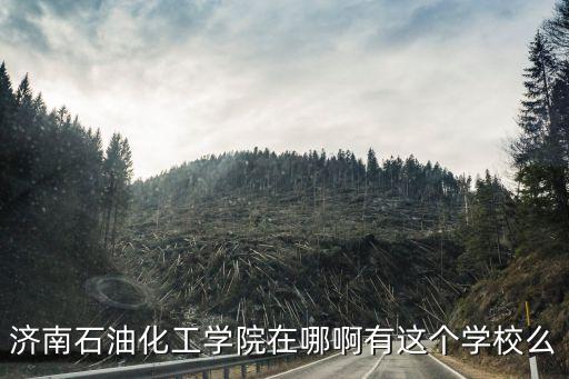 濟(jì)南石油化工學(xué)院在哪啊有這個(gè)學(xué)校么