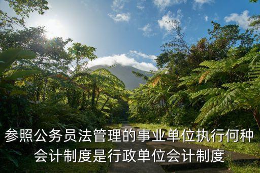 參照公務(wù)員法管理的事業(yè)單位執(zhí)行何種會(huì)計(jì)制度是行政單位會(huì)計(jì)制度