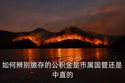 如何辨別繳存的公積金是市屬國管還是中直的