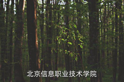 北京信息職業(yè)技術(shù)學(xué)院