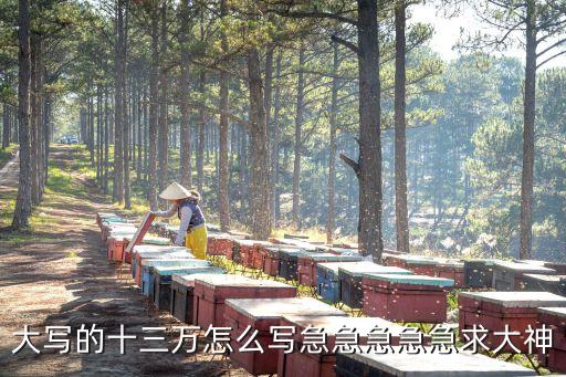 13萬大寫怎么寫，13萬小寫怎么寫