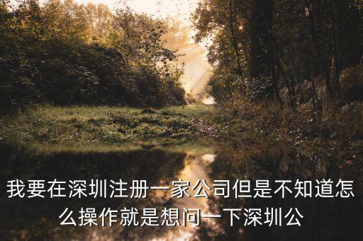 深圳設(shè)立公司，在深圳注冊一家公司的流程及資金
