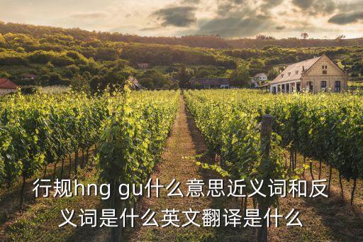 行規(guī)hng gu什么意思近義詞和反義詞是什么英文翻譯是什么