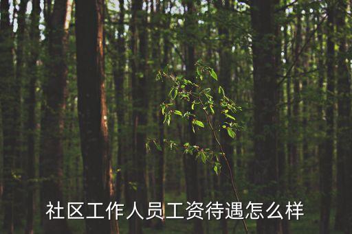 社區(qū)工作人員工資待遇怎么樣