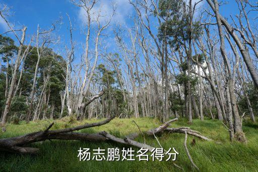 楊志鵬，楊志鵬姓名得分