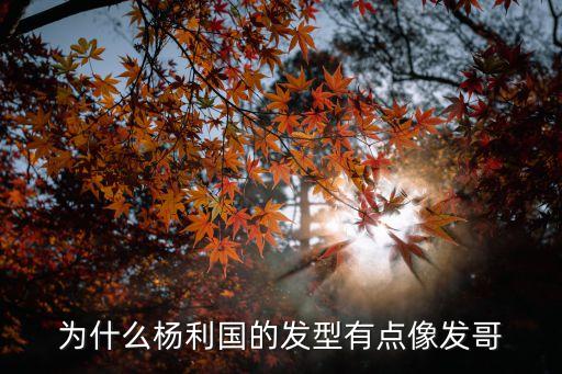 楊立國，牡丹江市刑警大隊大隊長是誰