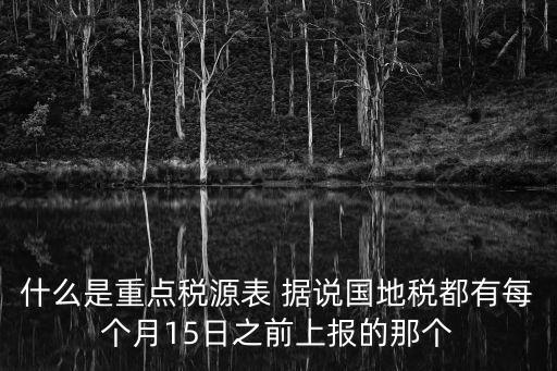 什么是重點稅源表 據(jù)說國地稅都有每個月15日之前上報的那個
