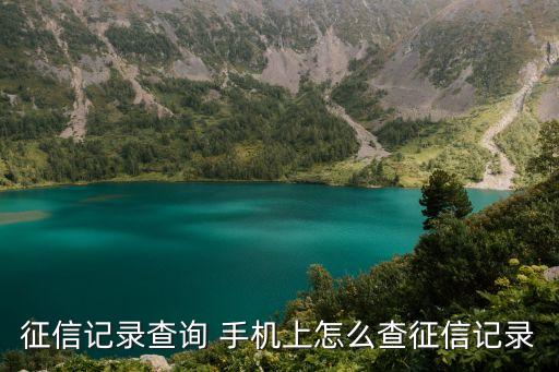 征信記錄查詢 手機(jī)上怎么查征信記錄