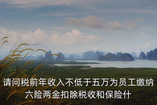 請(qǐng)問(wèn)稅前年收入不低于五萬(wàn)為員工繳納六險(xiǎn)兩金扣除稅收和保險(xiǎn)什
