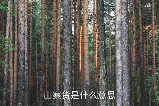 山寨貨是什么意思