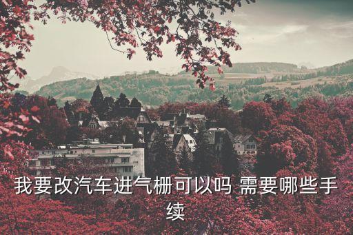 我要改汽車進氣柵可以嗎 需要哪些手續(xù)