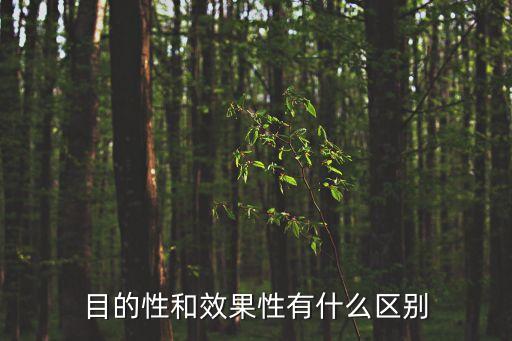 目的性，目的性和效果性有什么區(qū)別