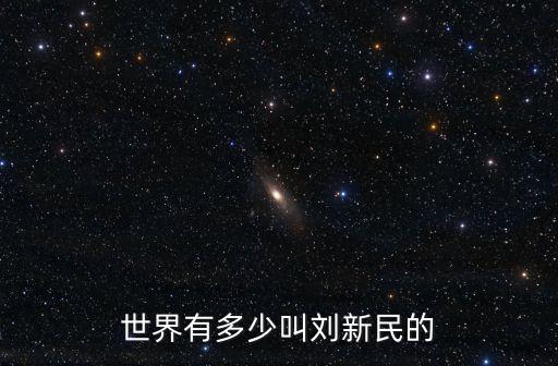 世界有多少叫劉新民的