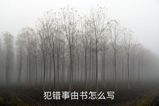 事由書(shū)，犯錯(cuò)事由書(shū)怎么寫(xiě)