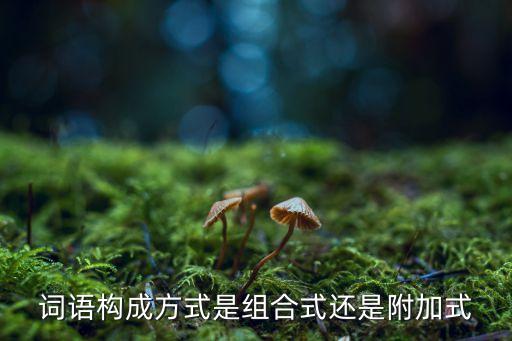 詞語構(gòu)成方式是組合式還是附加式
