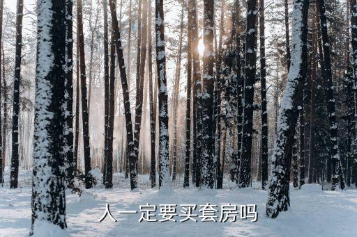 人一定要買套房嗎