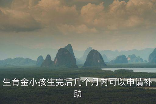 生育津貼什么時(shí)候開(kāi)始申請(qǐng)，生育津貼什么時(shí)候能辦