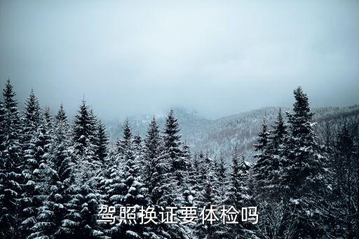 駕照換證要體檢嗎