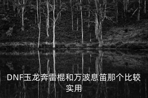萬波，DNF雷神與萬波哪個(gè)更實(shí)用刷圖的