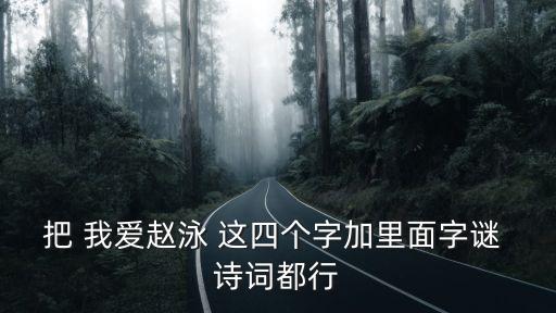 把 我愛(ài)趙泳 這四個(gè)字加里面字謎 詩(shī)詞都行