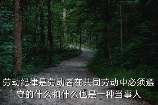勞動紀(jì)律是勞動者在共同勞動中必須遵守的什么和什么也是一種當(dāng)事人