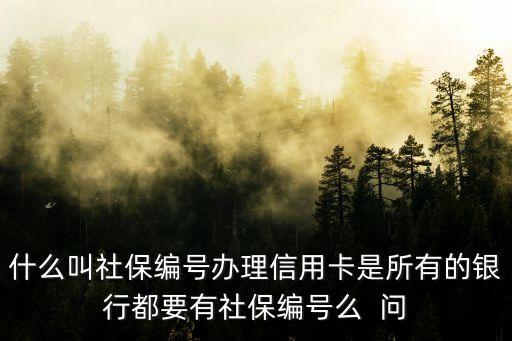 什么叫社保編號(hào)辦理信用卡是所有的銀行都要有社保編號(hào)么  問(wèn)