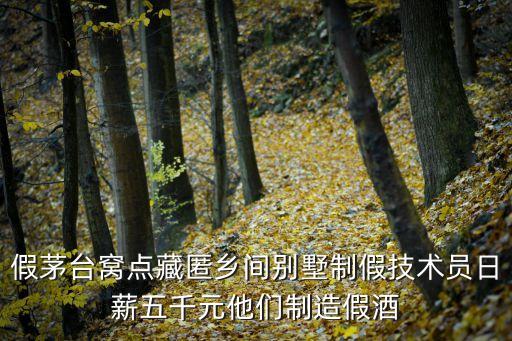 假茅臺(tái)，茅臺(tái)酒真假