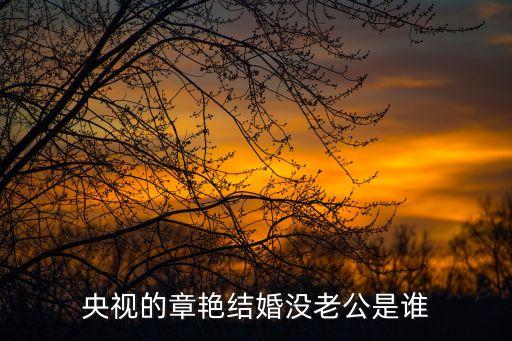 章艷，央視的胡蝶和章艷哪個好看
