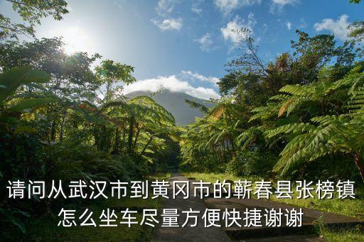 張榜鎮(zhèn)，中午十二點(diǎn)想從武昌到蘄春縣張榜鎮(zhèn)該怎么坐車