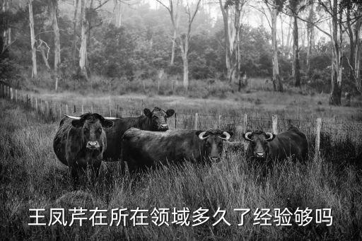 王鳳芹在所在領(lǐng)域多久了經(jīng)驗(yàn)夠嗎