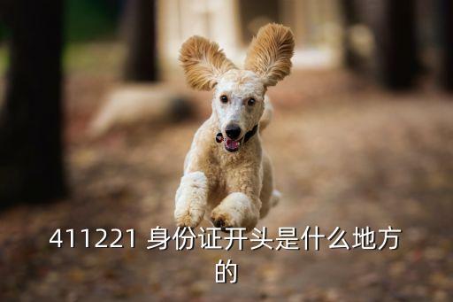 411221 身份證開頭是什么地方的