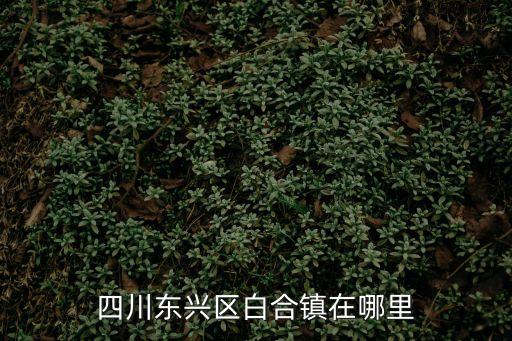 內江市東興區(qū)，內江縣什么時候改為東興區(qū)的
