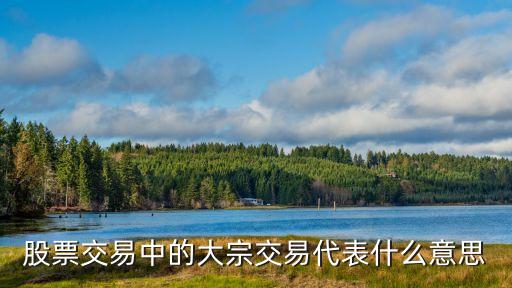 深交所大宗交易，深交所的大宗交易信息在哪找了很久都找不到