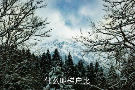 什么叫梯戶比