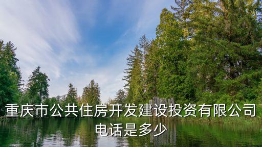 吳自力，重慶市地產(chǎn)集團(tuán)釣魚嘴公司怎么樣