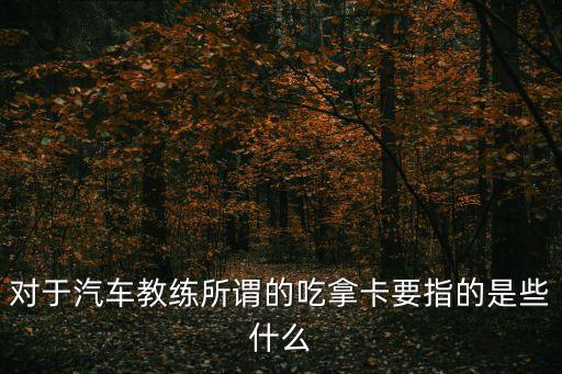 對(duì)于汽車(chē)教練所謂的吃拿卡要指的是些什么