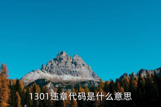 1301違章代碼是什么意思