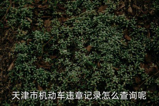 天津市機動車違章記錄怎么查詢呢