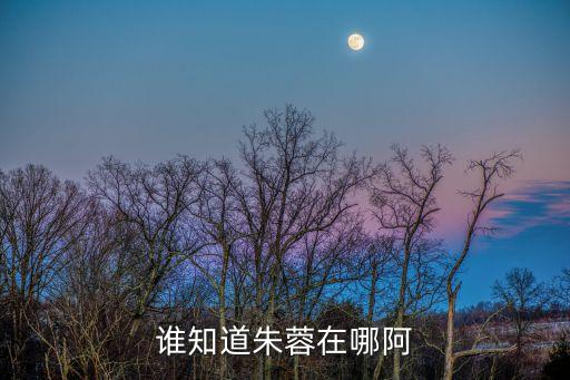 誰知道朱蓉在哪阿