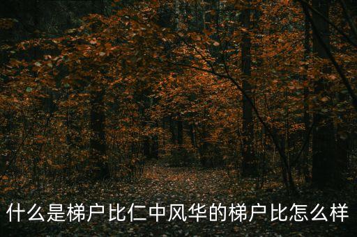 什么是梯戶比仁中風(fēng)華的梯戶比怎么樣