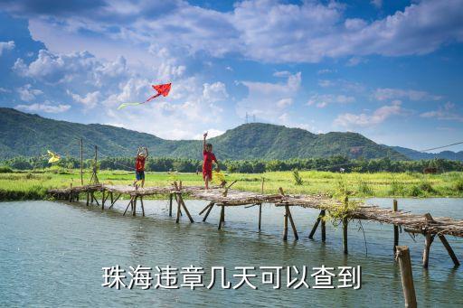 珠海違章幾天可以查到
