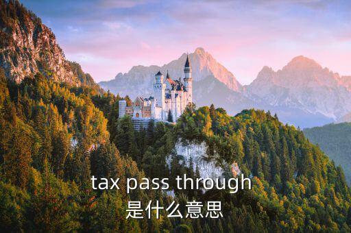 通過稅，tax pass through 是什么意思