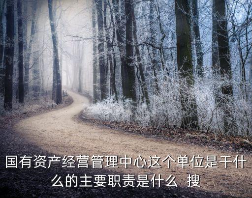 國管中心，國有資產(chǎn)經(jīng)營管理中心這個(gè)單位是干什么的主要職責(zé)是什么  搜