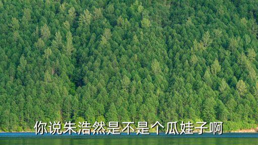 朱浩然，你說朱浩然是不是個瓜娃子啊