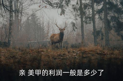 美甲成本與利潤(rùn)，親 美甲的利潤(rùn)一般是多少了